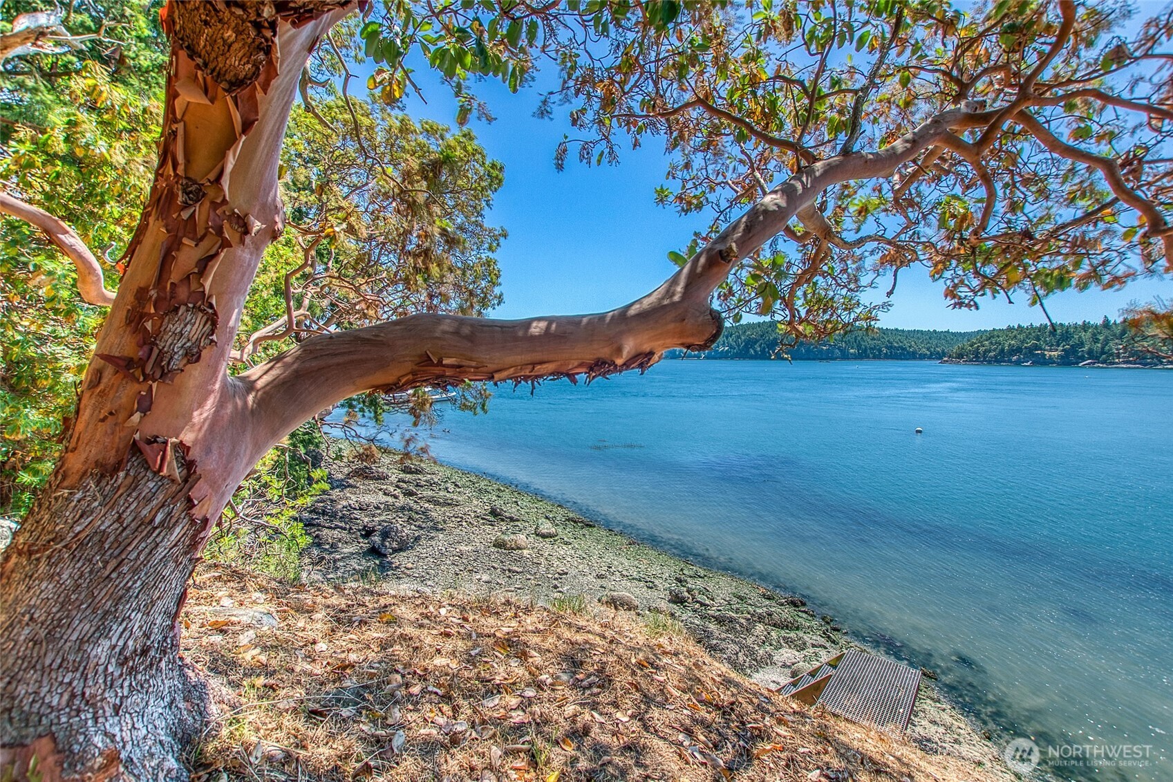 6998 Deer Harbor Road Orcas Island, WA 98243 - Photo 5 of 40