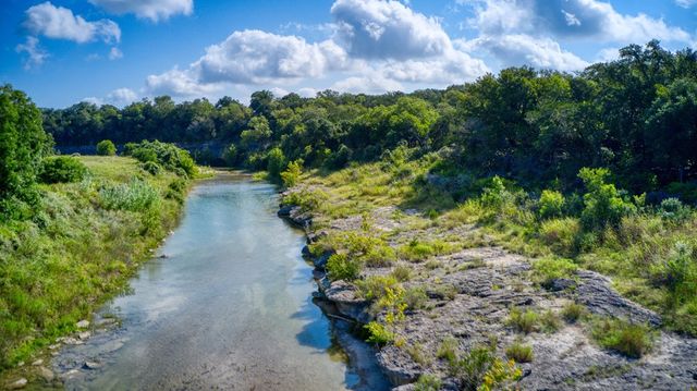 a view of a garden with a large tree