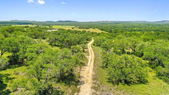 a view of a yard with an trees