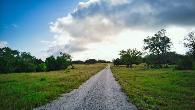 a view of a golf course with a garden