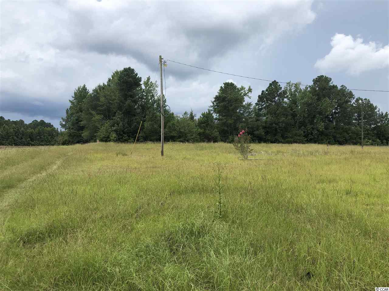 1118 East Lawrimore Road Hemingway, SC 29554 - Photo 1 of 11