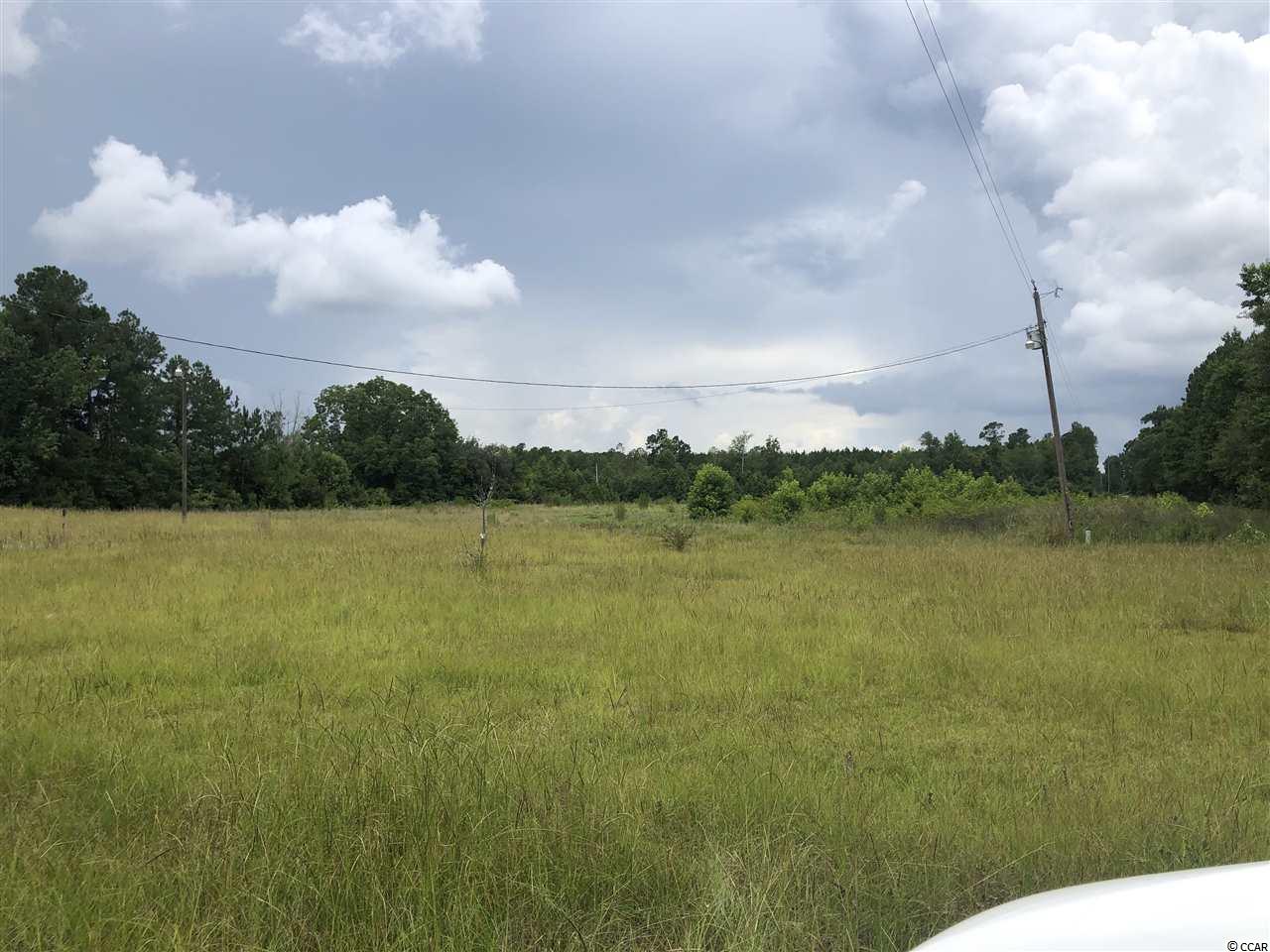 1118 East Lawrimore Road Hemingway, SC 29554 - Photo 5 of 11