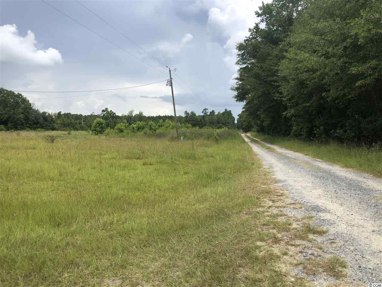 1118 East Lawrimore Road Hemingway, SC 29554 - Photo 6 of 11
