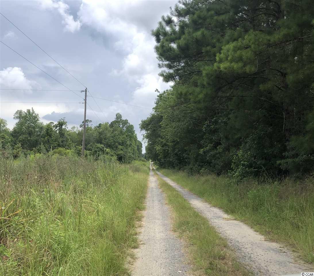 1118 East Lawrimore Road Hemingway, SC 29554 - Photo 10 of 11