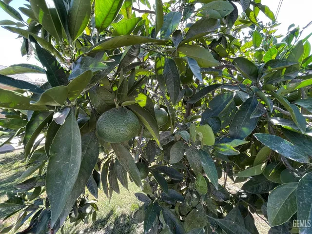 a view of a swimming pool with a garden