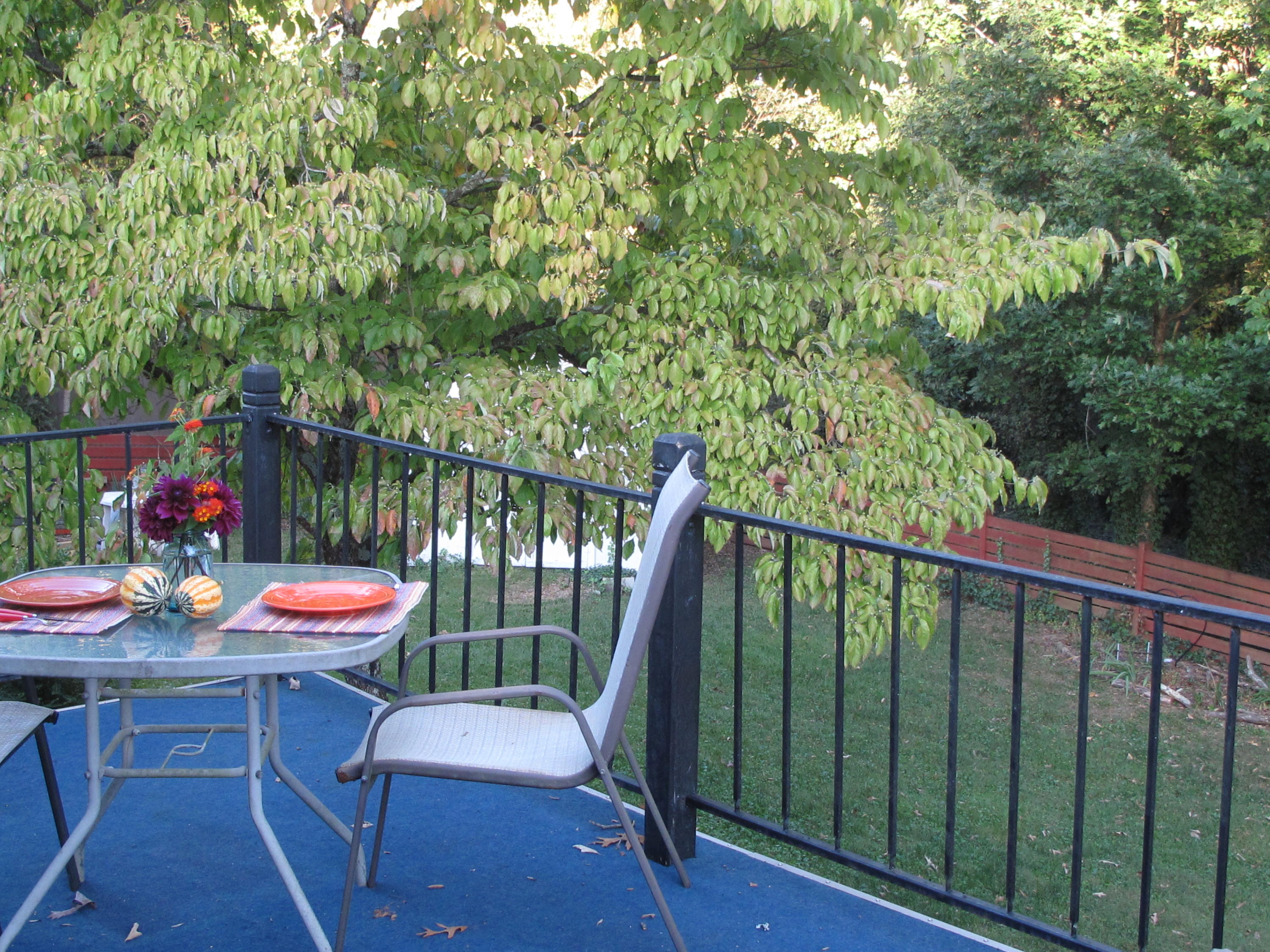 3810 Arrowrock Road Chattanooga, TN 37406 - Photo 26 of 27 IMG_6634