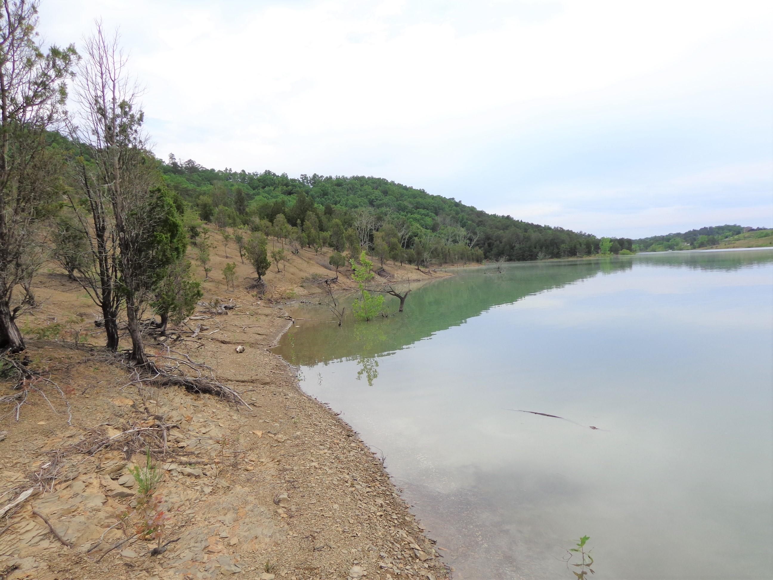 8.01 Bohanan Top Road Sevierville, TN 37876 - Photo 11 of 38 updated lake 5-9-19 (22)