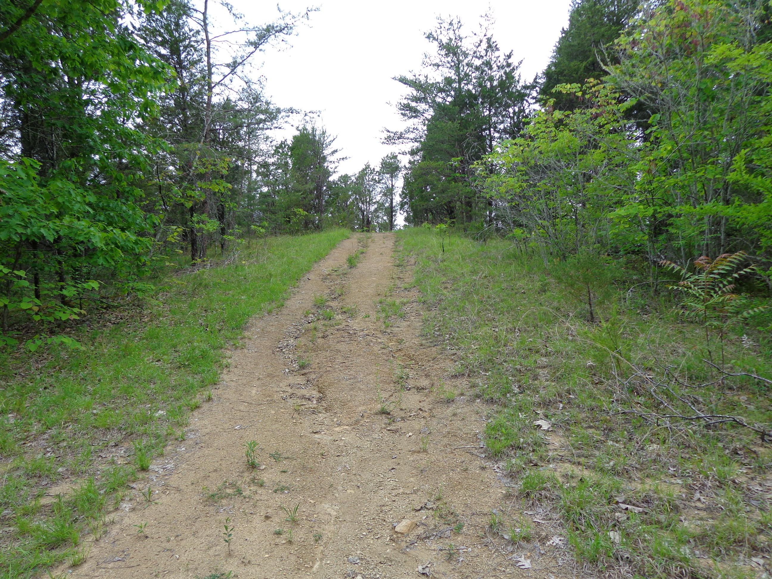 8.01 Bohanan Top Road Sevierville, TN 37876 - Photo 17 of 38 updated lake 5-9-19 (15)