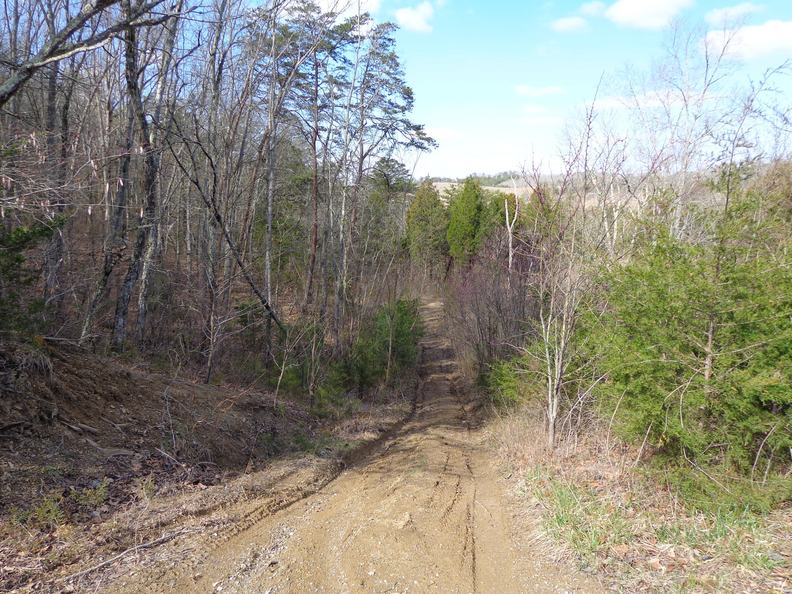 8.01 Bohanan Top Road Sevierville, TN 37876 - Photo 18 of 38 #559241 bohannon top land (8)