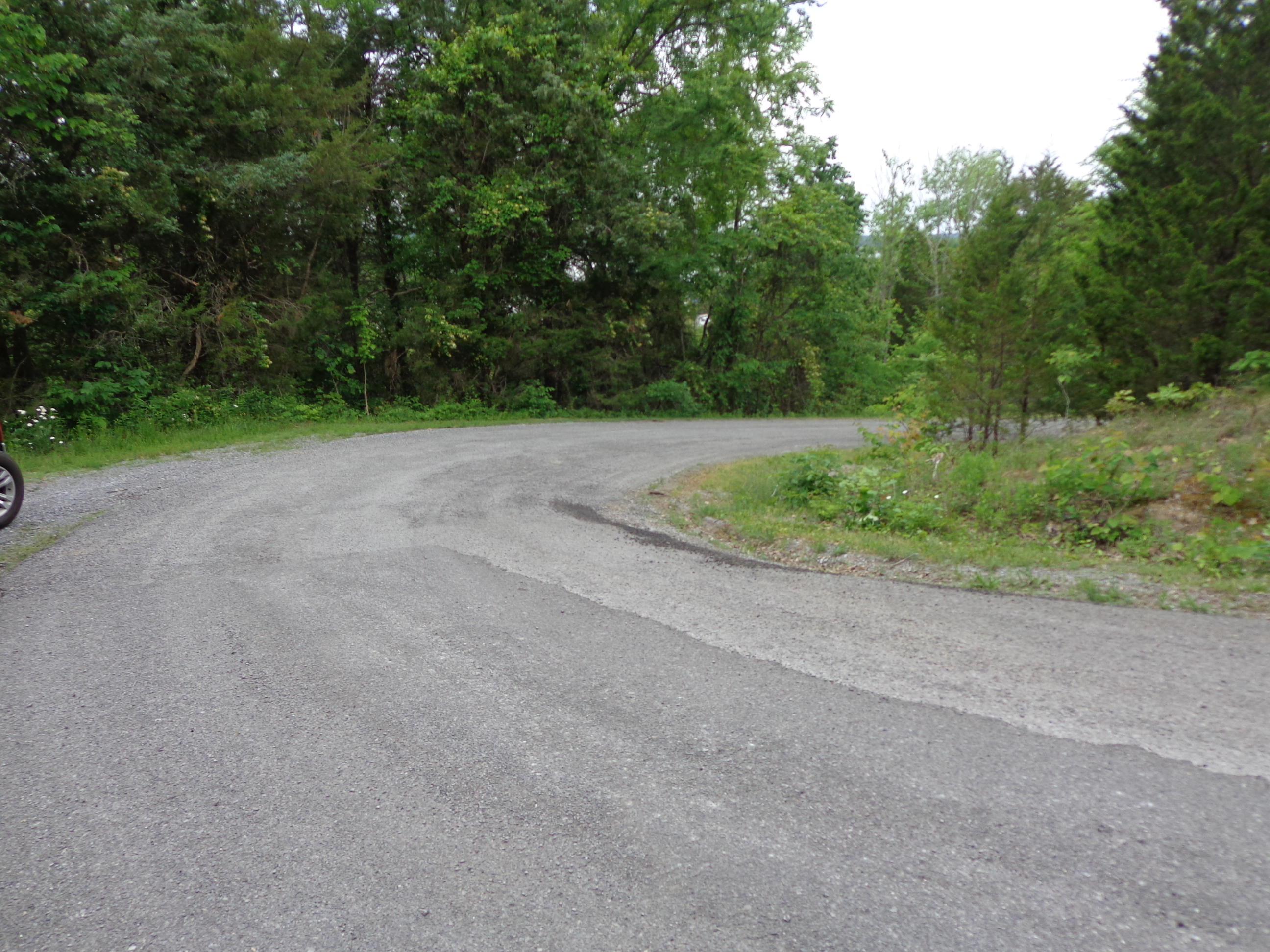 8.01 Bohanan Top Road Sevierville, TN 37876 - Photo 20 of 38 updated lake 5-9-19 (10)
