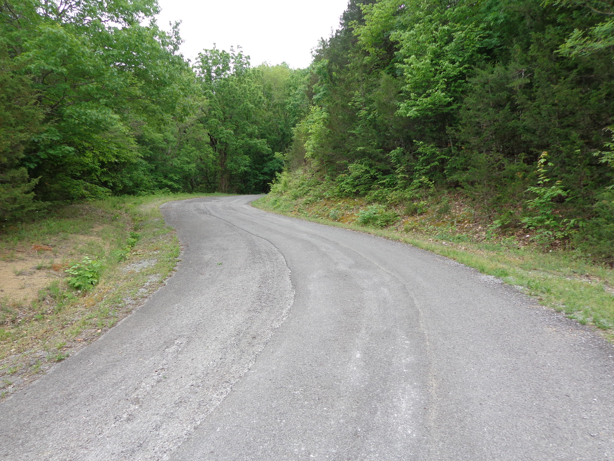 8.01 Bohanan Top Road Sevierville, TN 37876 - Photo 21 of 38 updated lake 5-9-19 (11)