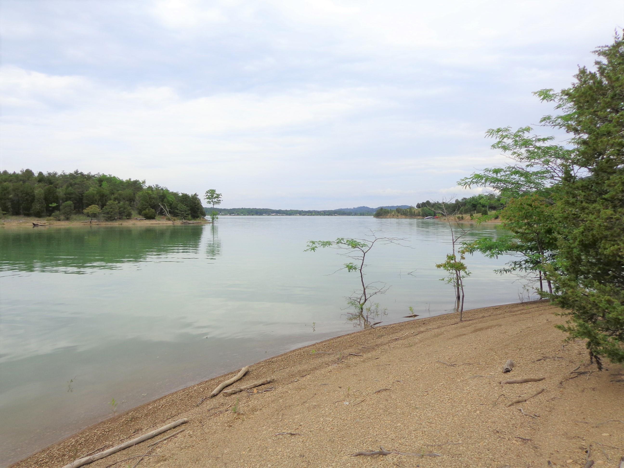 8.01 Bohanan Top Road Sevierville, TN 37876 - Photo 8 of 38 updated lake 5-9-19 (20)