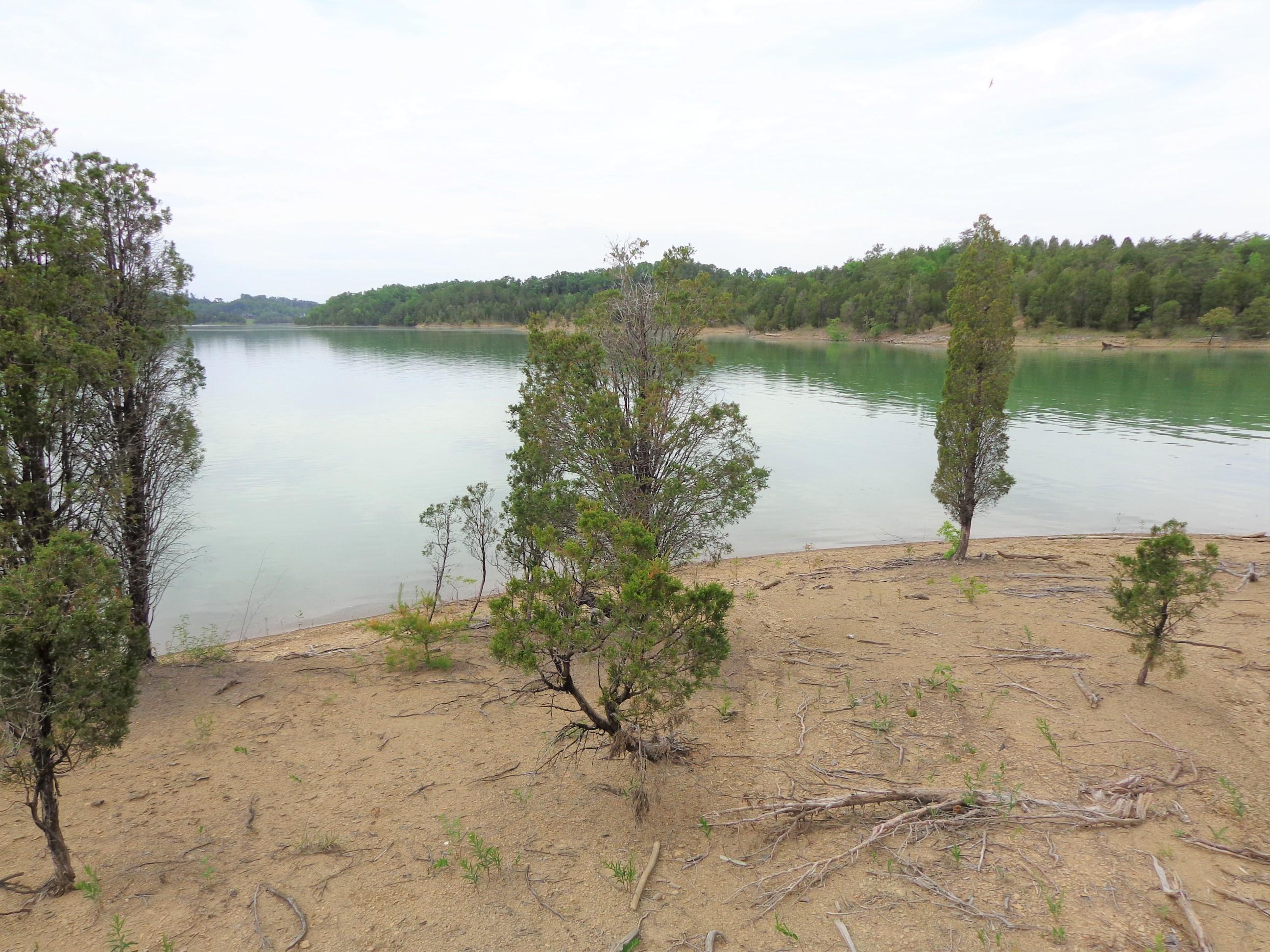 8.01 Bohanan Top Road Sevierville, TN 37876 - Photo 9 of 38 updated lake 5-9-19 (17)