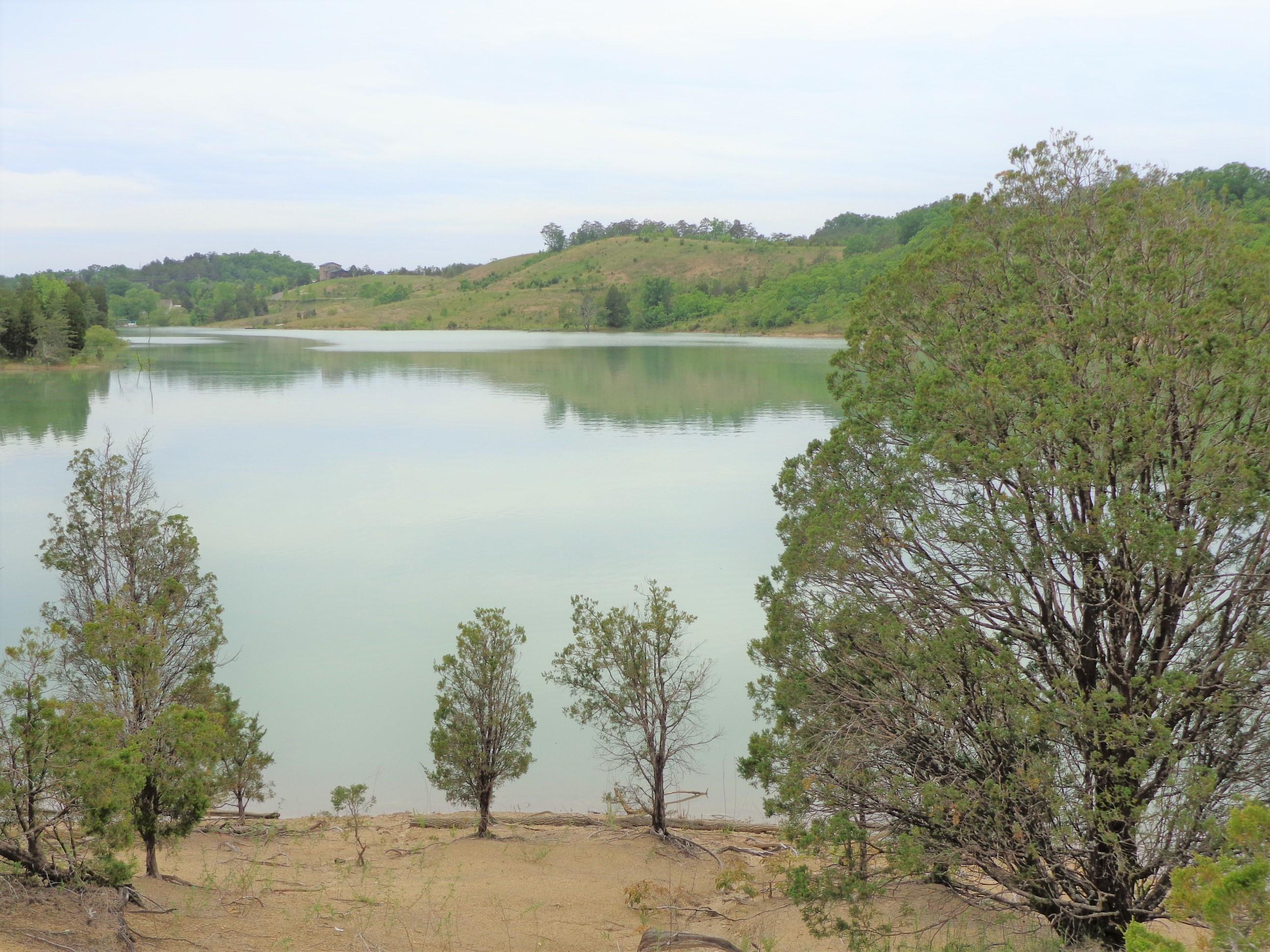 8.01 Bohanan Top Road Sevierville, TN 37876 - Photo 10 of 38 updated lake 5-9-19 (23)