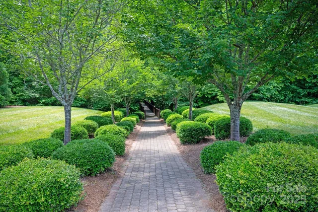 a view of a garden with pathway