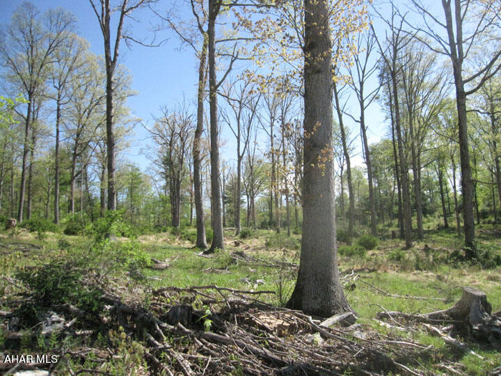 Off North Silver Pine Road Petersburg, PA 16669 - Photo 15 of 29 Gallery Image 15