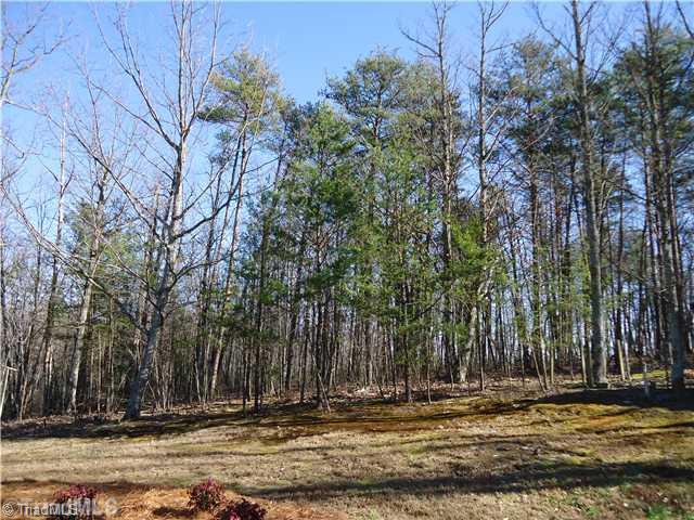 1110 Muddy Road King, NC 27021 - Photo 5 of 16 Yard/Garden.