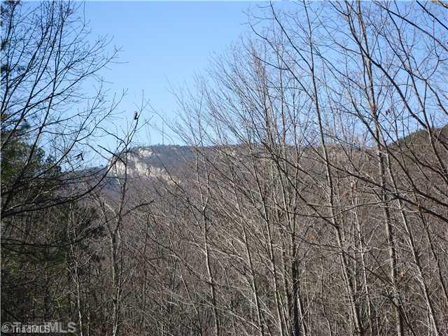1110 Muddy Road King, NC 27021 - Photo 6 of 16 View. INCREDIBLE SAURATOWN MTN VIEW!