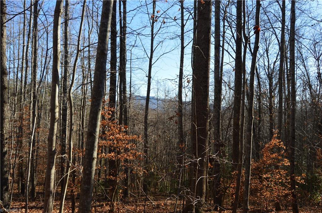 0 Frye Road Westfield, NC 27053 - Photo 1 of 20 Gallery Image 1