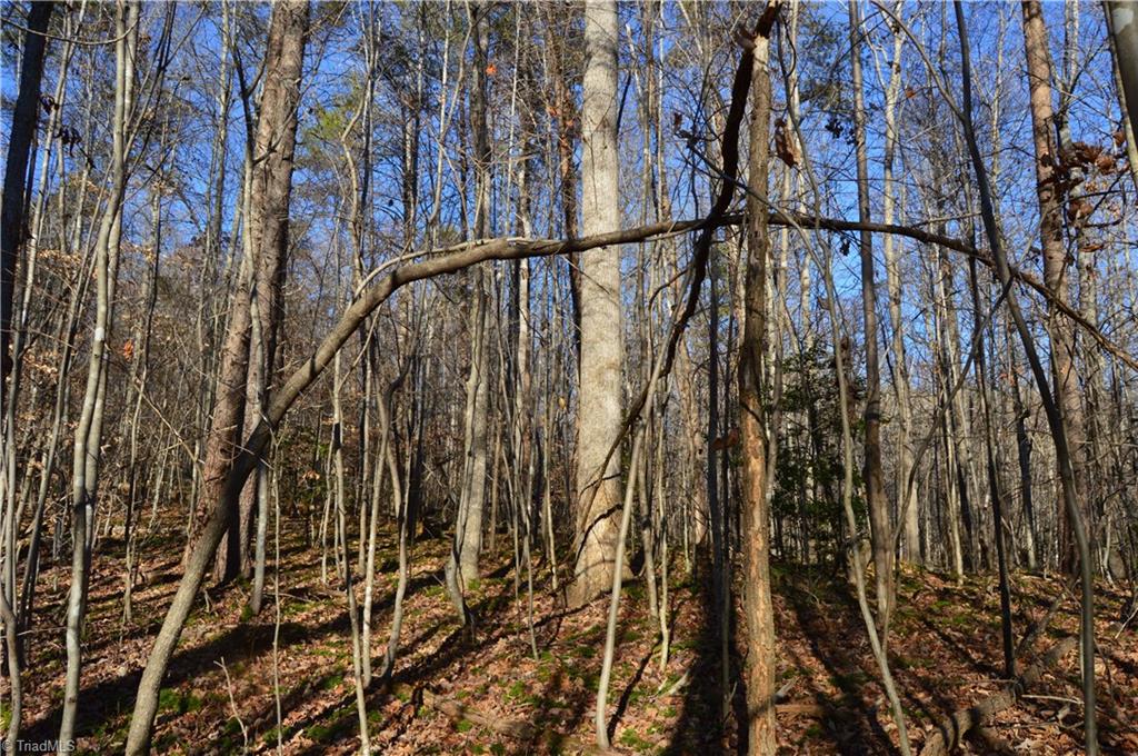 0 Frye Road Westfield, NC 27053 - Photo 11 of 20 Gallery Image 11