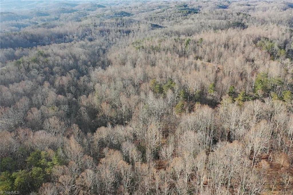 0 Frye Road Westfield, NC 27053 - Photo 15 of 20 Gallery Image 15