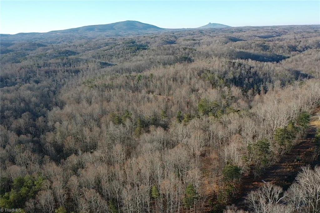 0 Frye Road Westfield, NC 27053 - Photo 16 of 20 Gallery Image 16