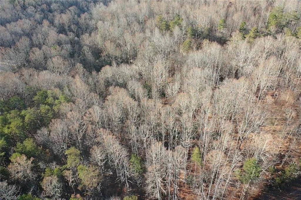 0 Frye Road Westfield, NC 27053 - Photo 18 of 20 Gallery Image 18