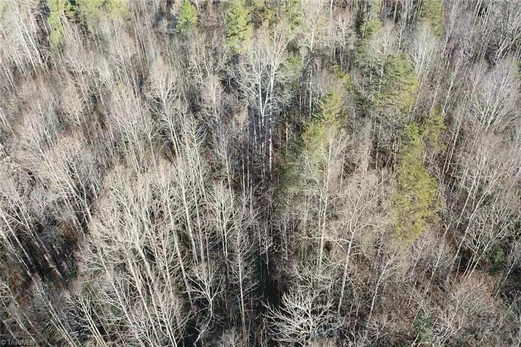 0 Frye Road Westfield, NC 27053 - Photo 19 of 20 Gallery Image 19