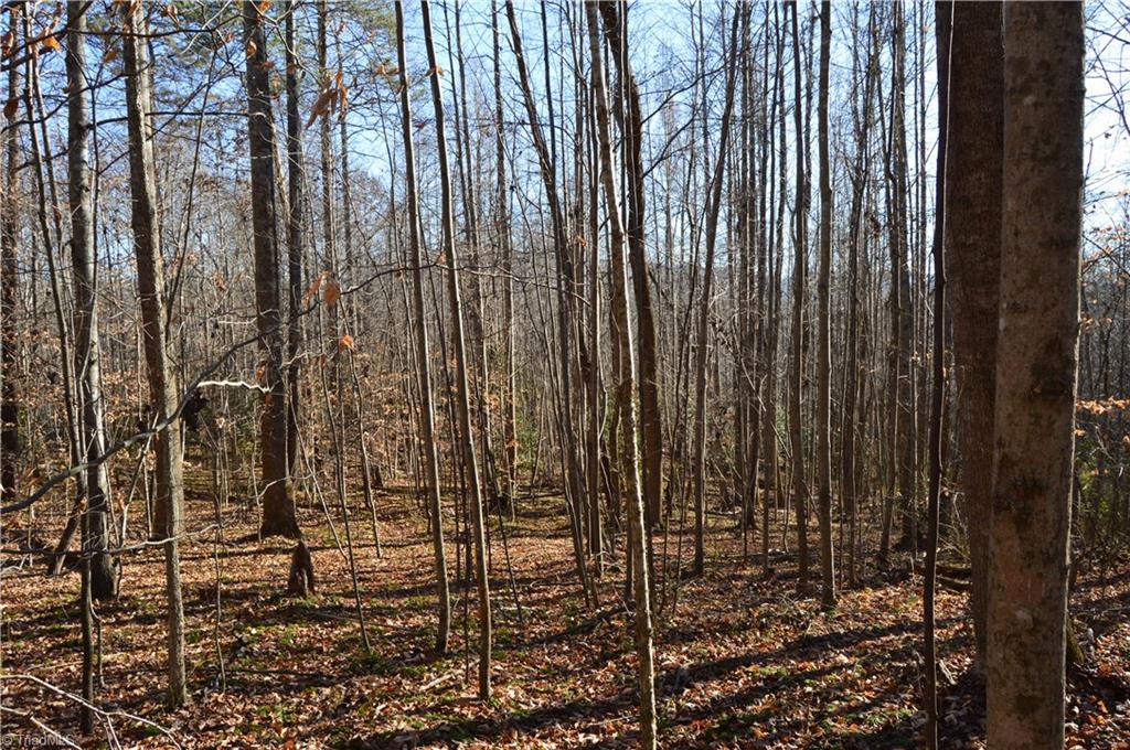 0 Frye Road Westfield, NC 27053 - Photo 6 of 20 Gallery Image 6