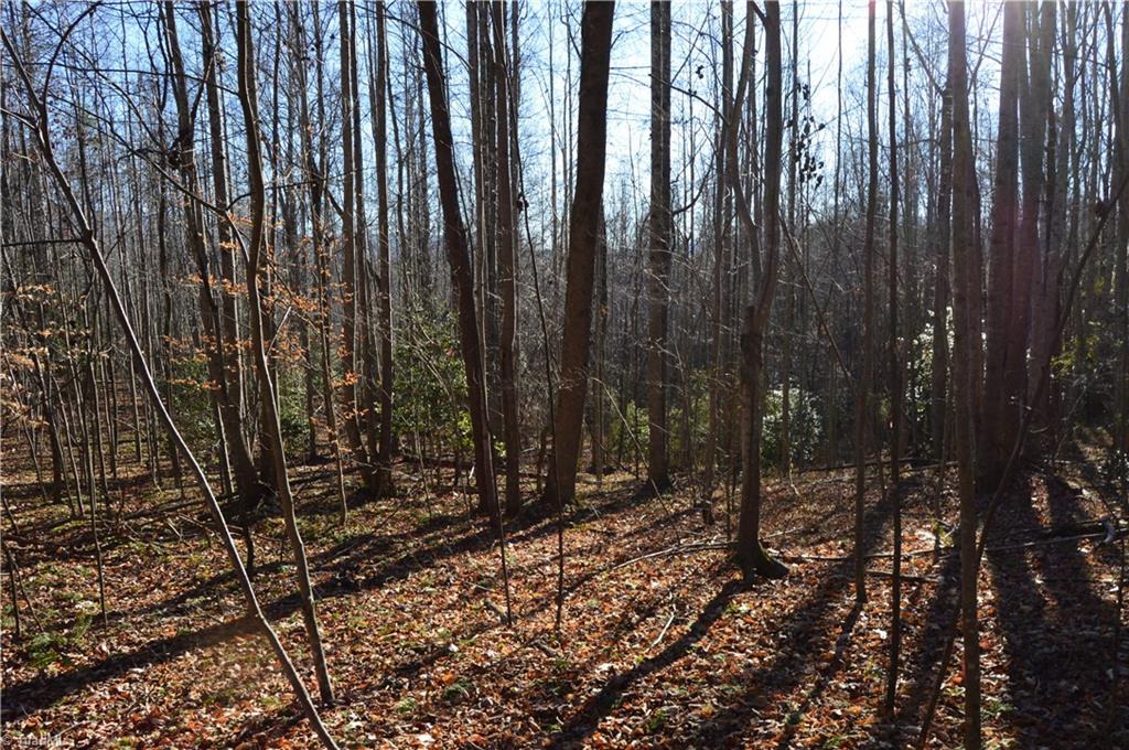 0 Frye Road Westfield, NC 27053 - Photo 7 of 20 Gallery Image 7