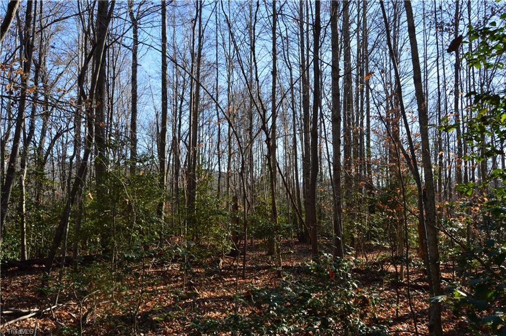 0 Frye Road Westfield, NC 27053 - Photo 8 of 20 Gallery Image 8