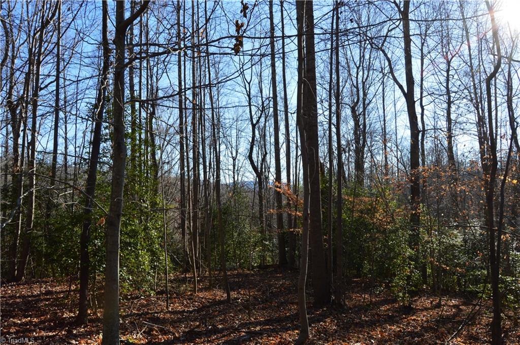 0 Frye Road Westfield, NC 27053 - Photo 9 of 20 Gallery Image 9