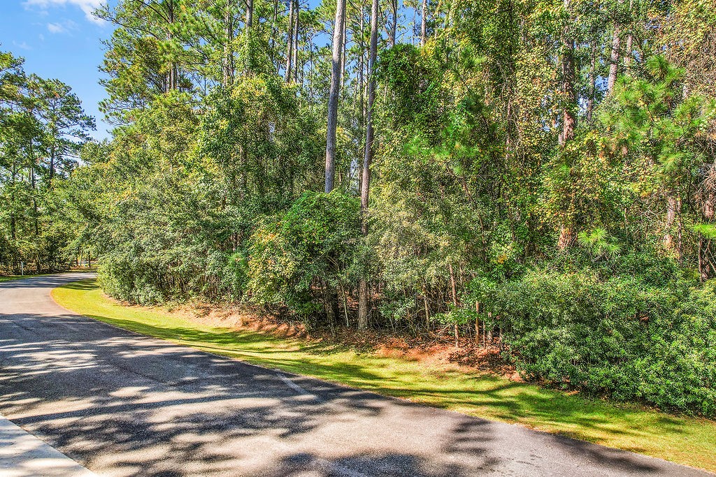 0 Sapelo Circle Northeast Townsend, GA 31331 - Photo 4 of 23