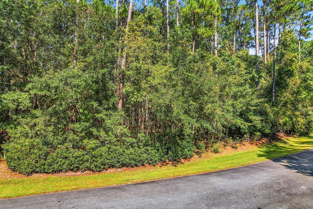 0 Sapelo Circle Northeast Townsend, GA 31331 - Photo 5 of 23