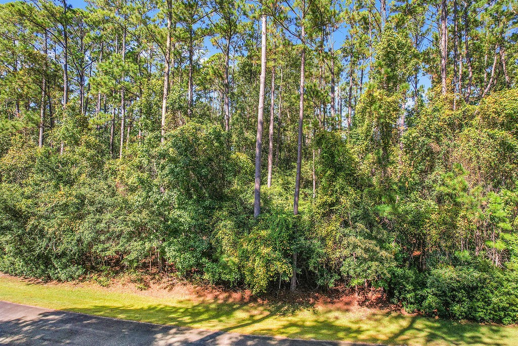 0 Sapelo Circle Northeast Townsend, GA 31331 - Photo 6 of 23