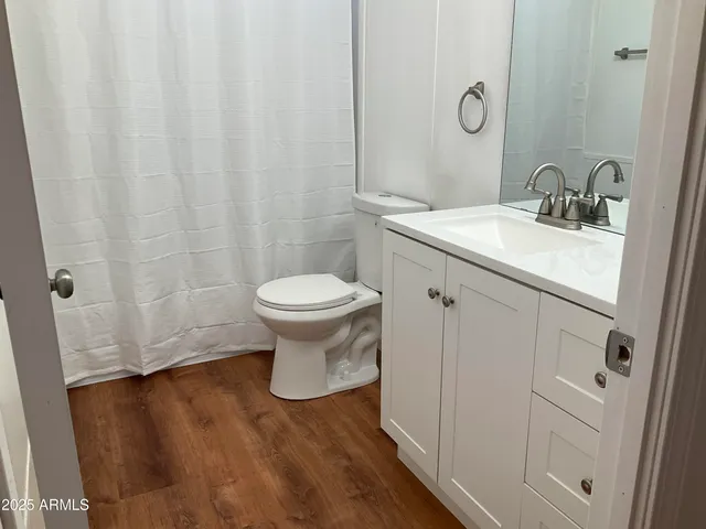 a bathroom with a sink and a toilet