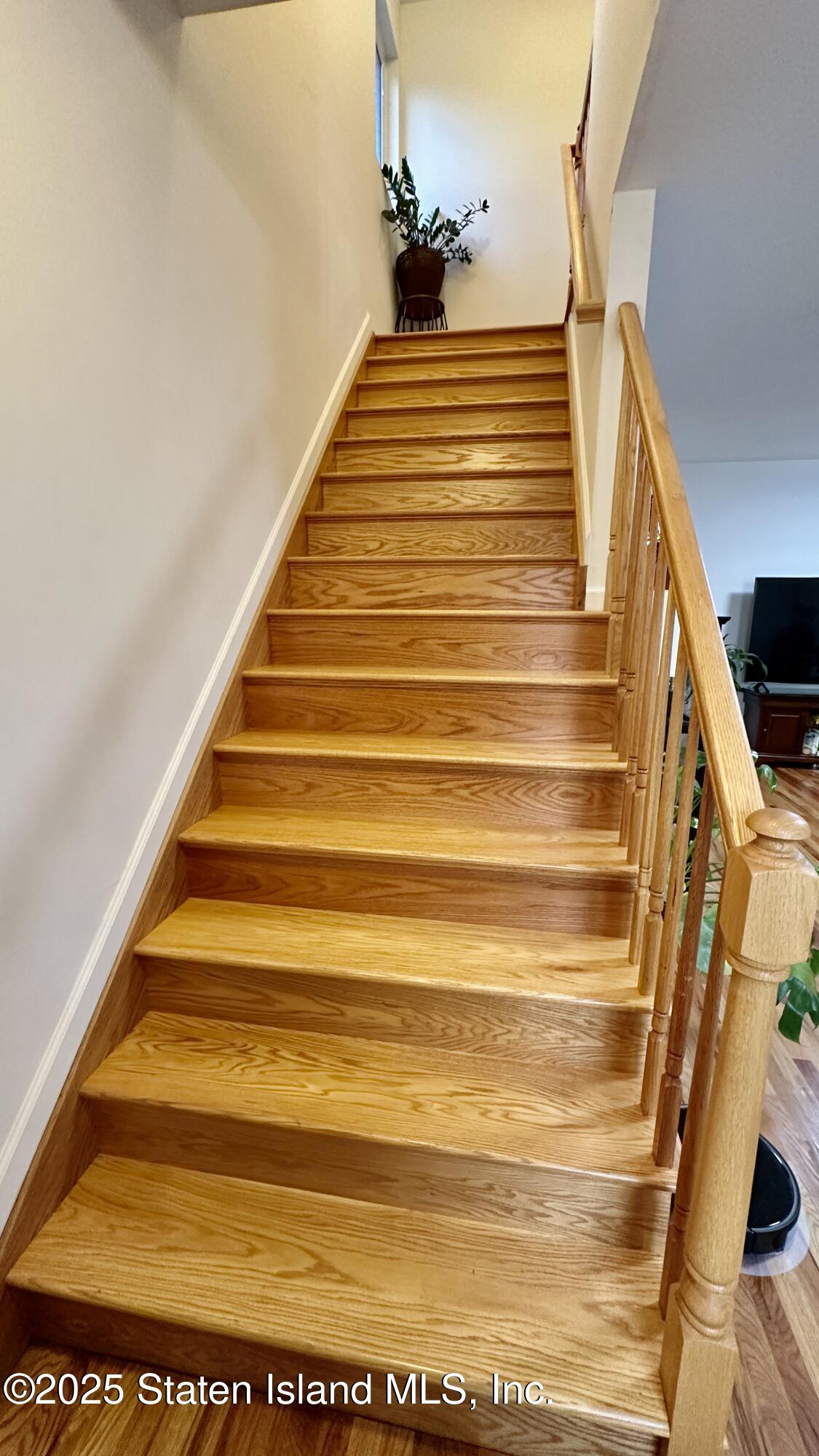 32 Scribner Avenue Staten Island, NY 10301 - Photo 16 of 33 FFBAAF01-7F4A-4854-9A68-1C13B0723A76_1_2