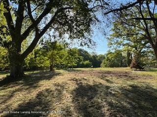 265 North Aurelius Road Mason, MI 48854 - Photo 20 of 21 IMG_6973