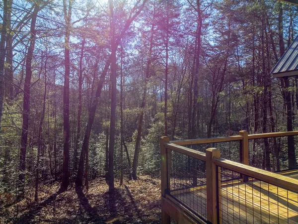 a view of a house with a tree and yard