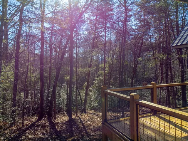 a view of a house with a tree and yard