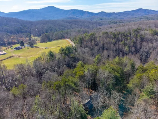 a view of a lush green forest with trees and some houses