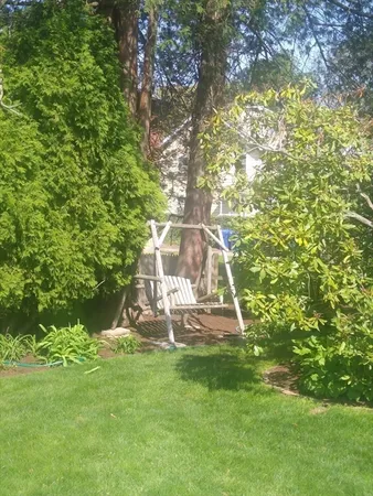 a view of a backyard