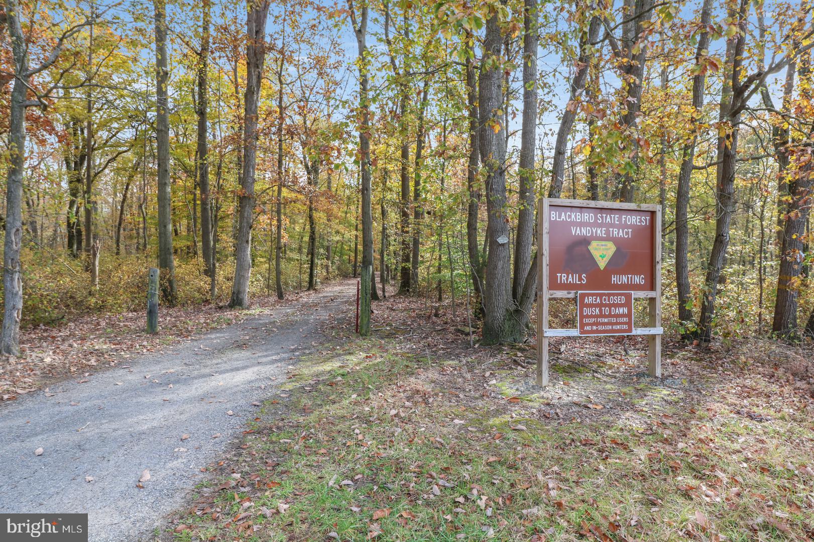 268 Saw Mill Road Townsend, DE 19734 - Photo 44 of 46 Walk to Blackbird Forest State Park