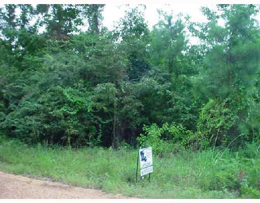 407 Clear Creek Road Pollock, LA 71467 - Photo 1 of 4 Gallery Image 1