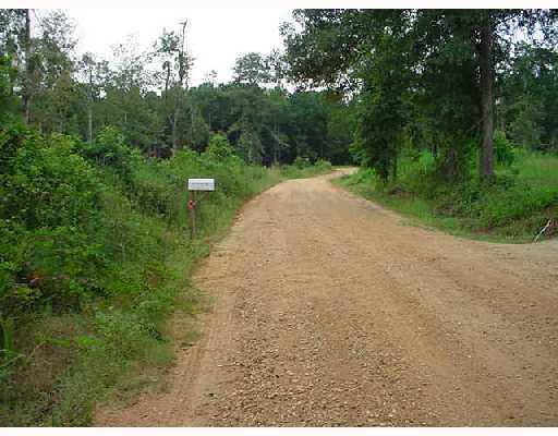 407 Clear Creek Road Pollock, LA 71467 - Photo 3 of 4 Gallery Image 3
