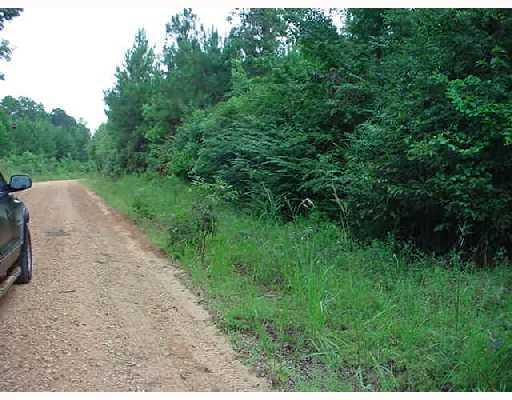 407 Clear Creek Road Pollock, LA 71467 - Photo 4 of 4 Gallery Image 4
