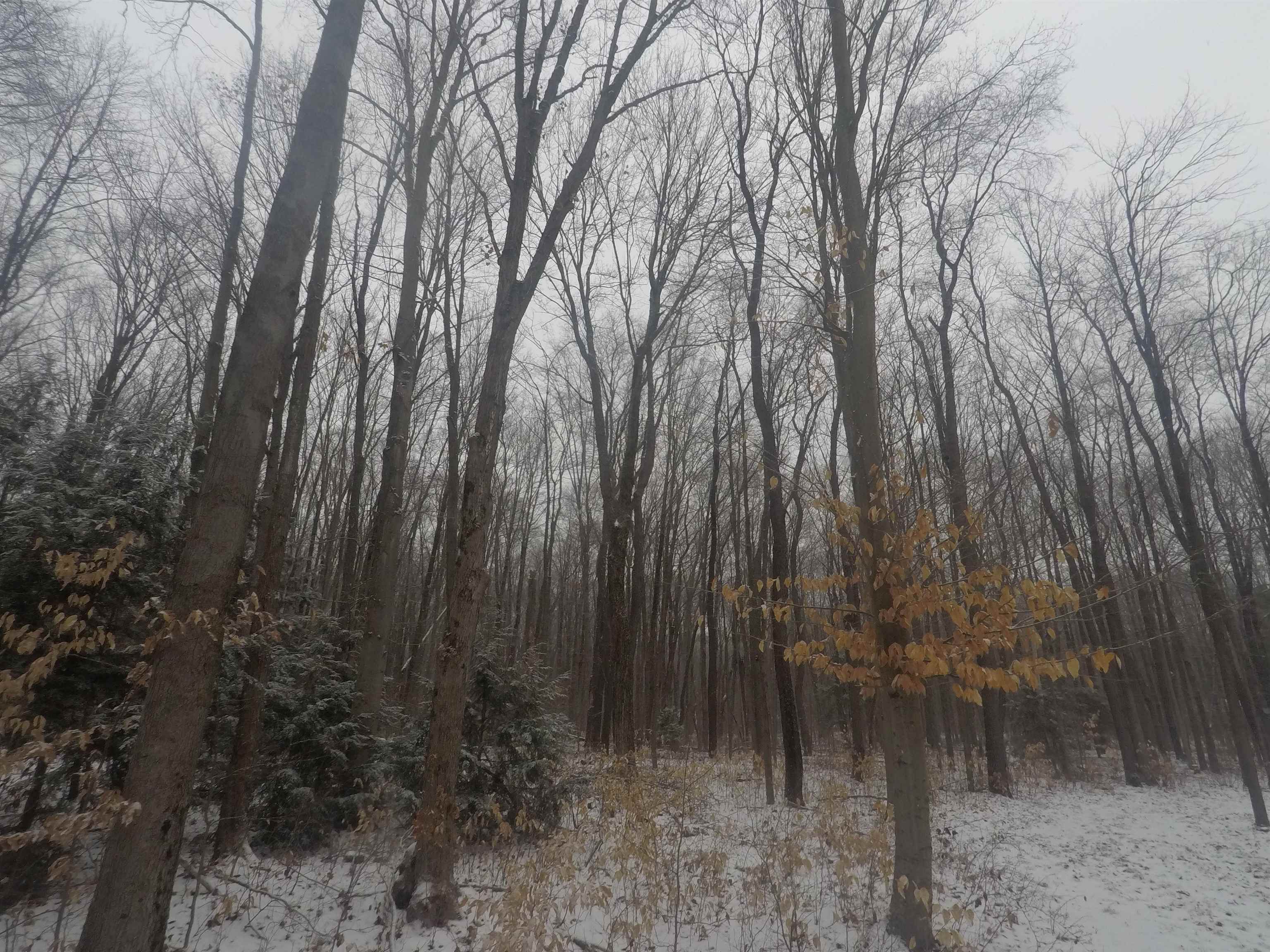 2800 South 29 Road Cadillac, MI 49601 - Photo 15 of 38