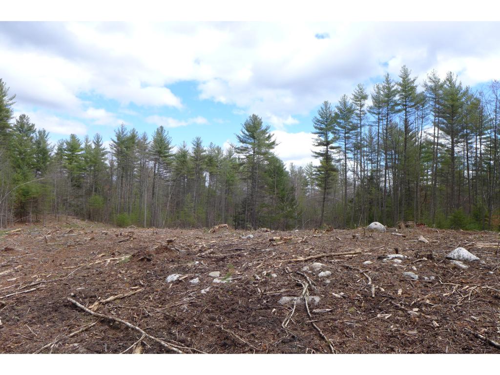 437 Wilsons Crossing Road Auburn, NH 03032 - Photo 3 of 5