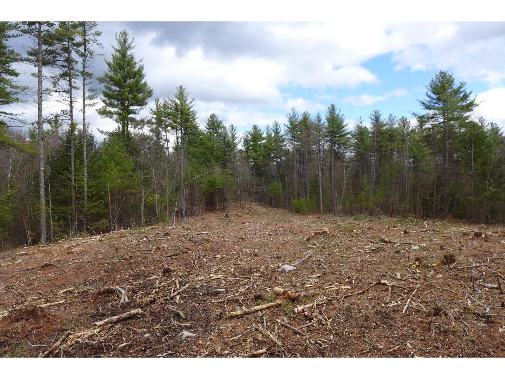 437 Wilsons Crossing Road Auburn, NH 03032 - Photo 4 of 5