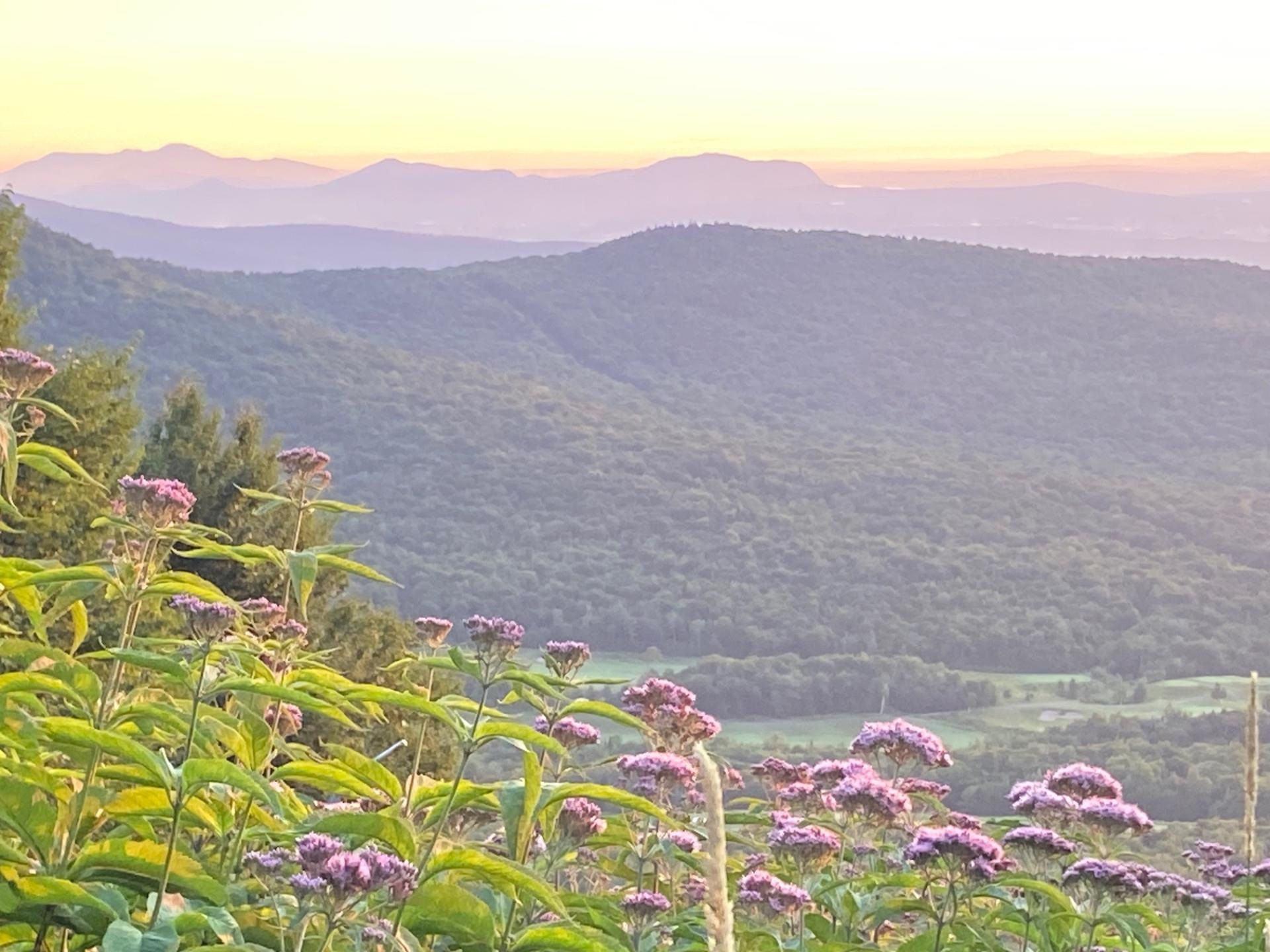 1765 Stevens Mill Road Jay, VT 05859 - Photo 18 of 19 Gallery Image 18